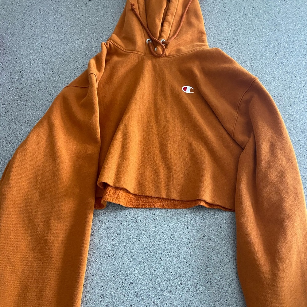 barely worn champion cropped hoodie